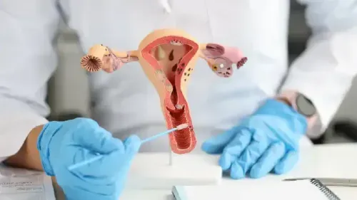 Pap Smear Results Explained Simply
